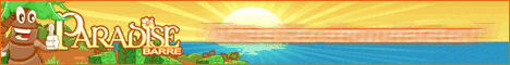 Paradise Barre - Barre de surf